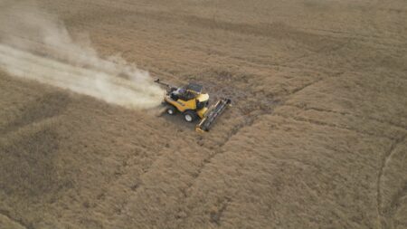Tariffs dampen harvest season for Canadian farmers
