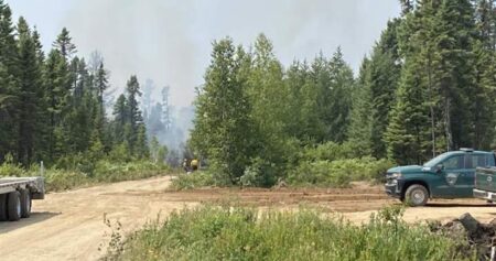 Miramichi, N.B. wildfire triples in size as province issues new restrictions