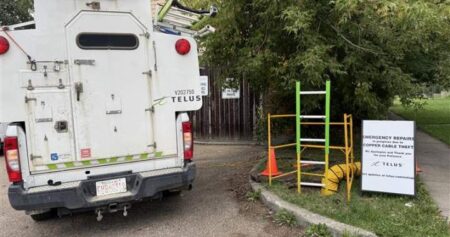 Telus calls for stricter penalties as Alberta sees spike in copper theft