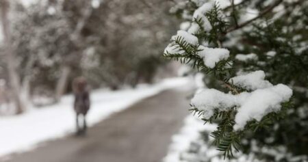 Ontario city overspent dealing with 2nd-worst winter in 30 years: report