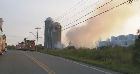 Barn destroyed, nearly 80 cows dead after fire at Rimouski, Que. farm