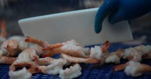 Worried about radioactive shrimp? CFIA says no sign they were sold here