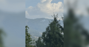‘This fire didn’t have to happen’: Human-caused wildfires raise alarm in West Kelowna