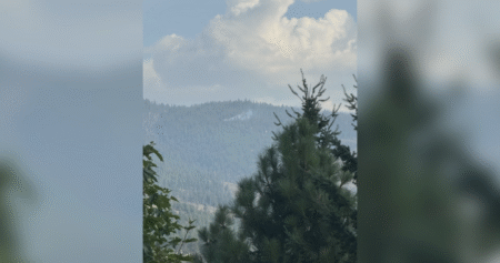 ‘This fire didn’t have to happen’: Human-caused wildfires raise alarm in West Kelowna