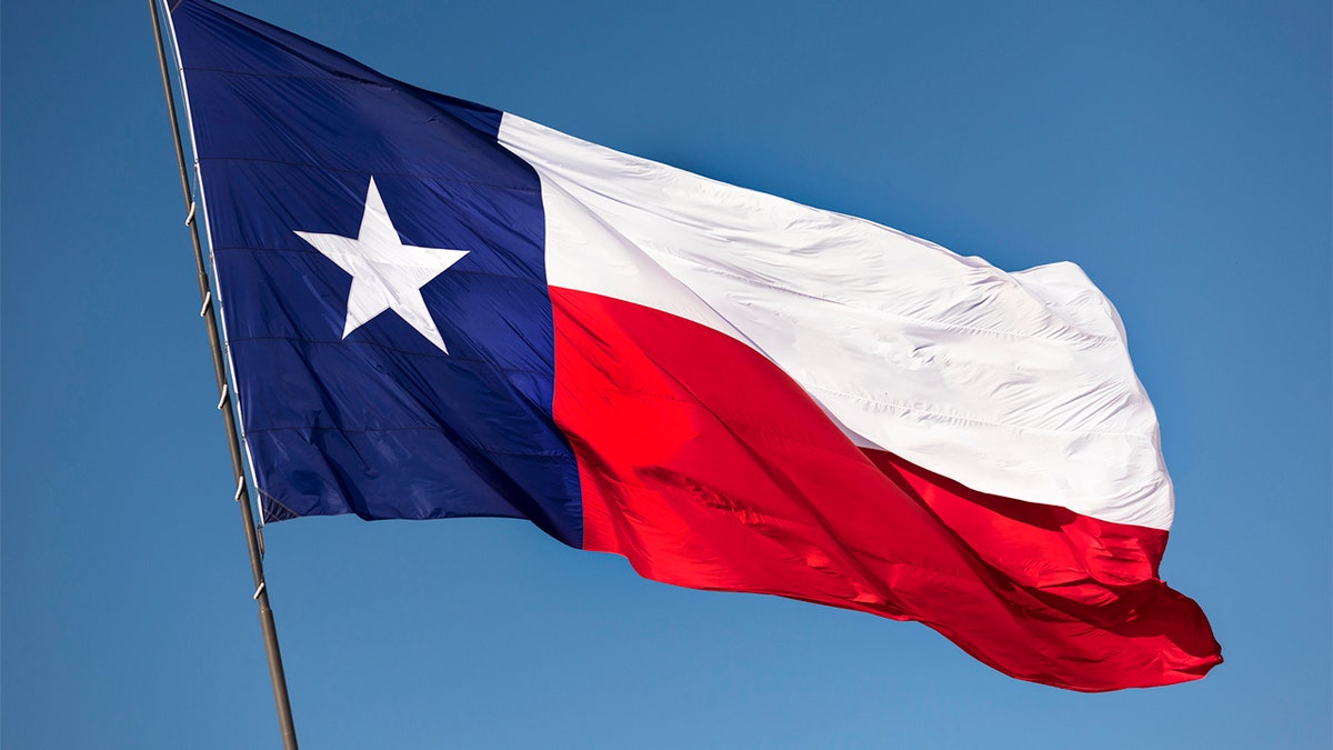 The Texas state flag