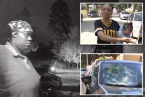 Customer smashes DoorDash driver’s car with tire iron, causing K in damages over failed delivery: ‘Over a 10-piece chicken wing’