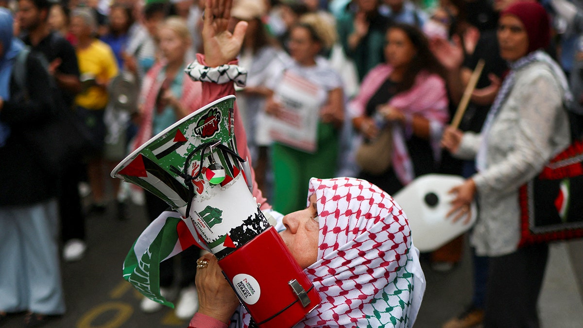 Pro-Palestinian protest in France