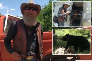 New Mexico man fatally shoots black bear that broke into his trailer home: ‘Came in, I f–king killed him’