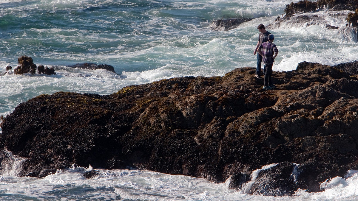 Bodega Bay waves