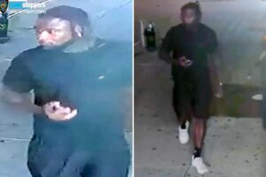 Brute lurking near Times Square tries to rape 21-year-old woman: cops, sources