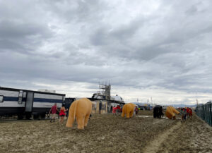 Burning Man Threatened by Dust Storm, Flood Warning