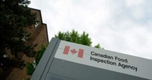 Dubai brand chocolate recalled in Canada over salmonella risk