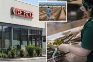 Chipotle, Sweetgreen bet big on small, local farmers amid ongoing agriculture crisis