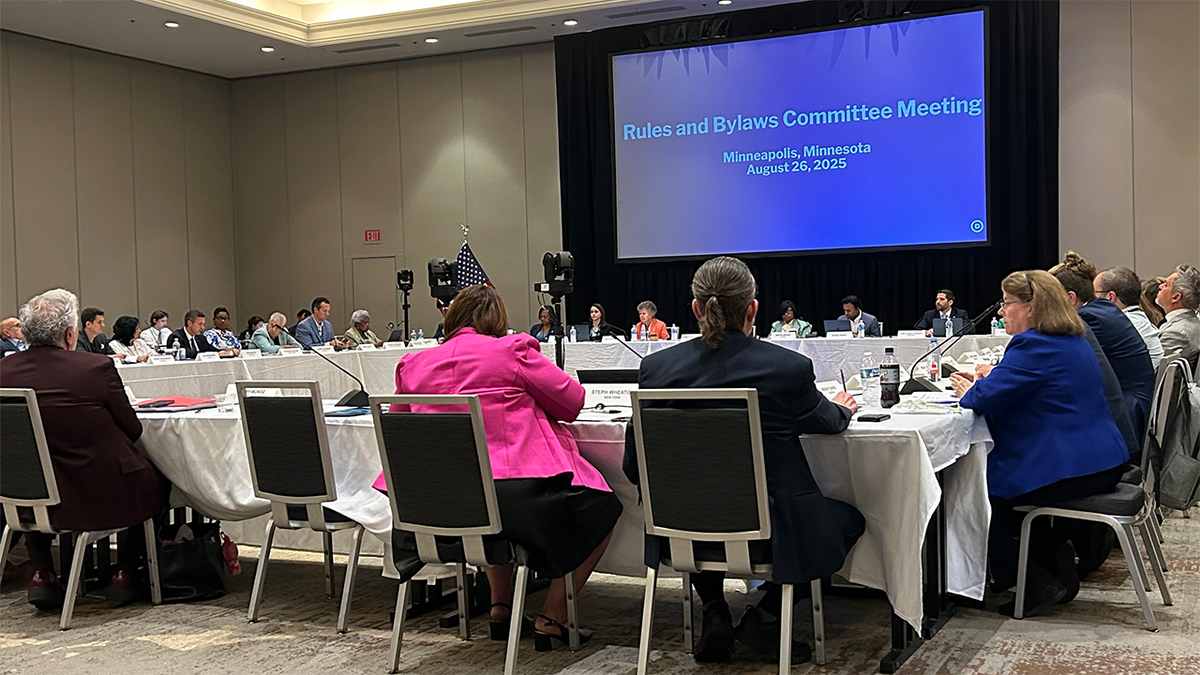 DNC Rules and Bylaws Committee