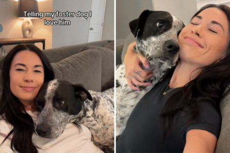 Viewers Can’t Cope With Foster Dog’s Response to Being Told ‘I Love You’
