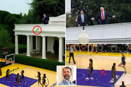 Donald Trump Jr. mocked for posting photoshopped image of president tossing sex toy onto WNBA court: Comedy airball