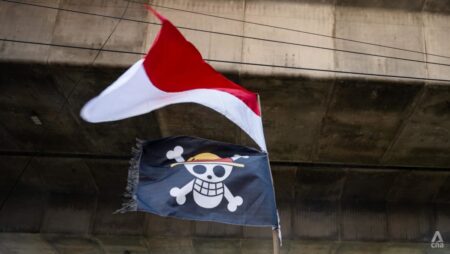 What’s the flap in Indonesia over pirate protest flag against Prabowo government?