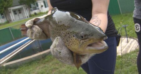 Deep impacts: Manitoba wildfires could threaten aquatic ecosystems