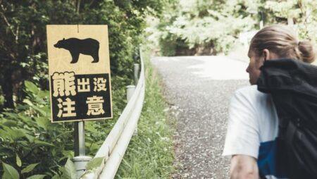Hiker found dead after bear attack in Japan forest