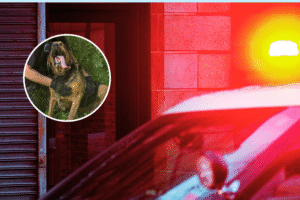 Missing Teen Found Alive at Bottom of Ravine Days Later With Injuries