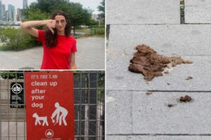 Exclusive | Fed-up neighbors launch online shame campaign for pet owners turning LIC into ‘dog s–t capital of New York’