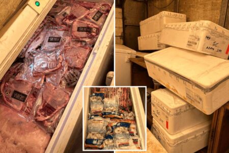 California man arrested for hoarding ,000 worth of stolen meat