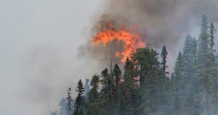 New Brunswick wildfires: Miramichi blaze remains out of control as others appear
