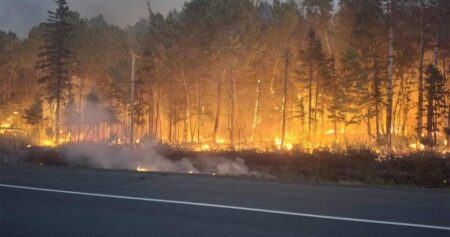New Brunswick wildfires: Miramichi blaze getting bigger, others popping up