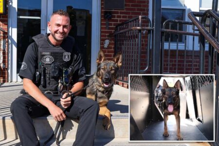 Exclusive | Long Island community gets its first K-9 cop in 30 years after recent gang takedown: ‘One of the best partners’