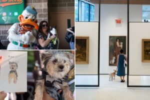 Dog days of summer: Take a paws and have fun at these pet-centric haps
