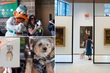 Dog days of summer: Take a paws and have fun at these pet-centric haps