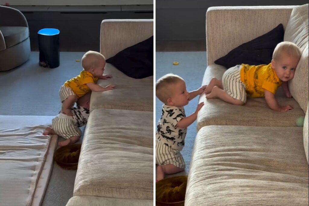 Dad Checks on Toddlers in Living Room, Not Prepared for What He Sees