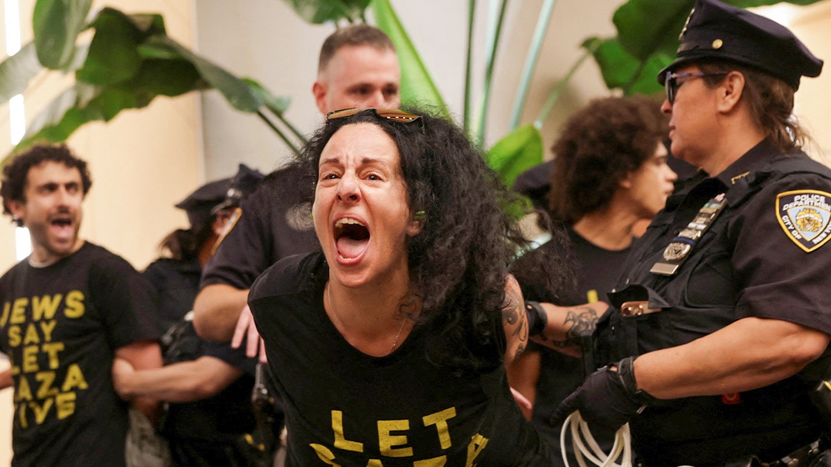 Pro-Palestinian protester arrested in NYC