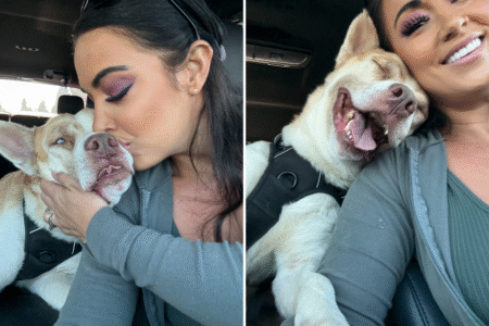 Dog’s Euthanasia Delayed Last Minute—Then Something Amazing Happens