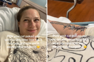 Cat Pokes Owner's Finger—Never Expects To End Up in ER: 'Freak Accident'