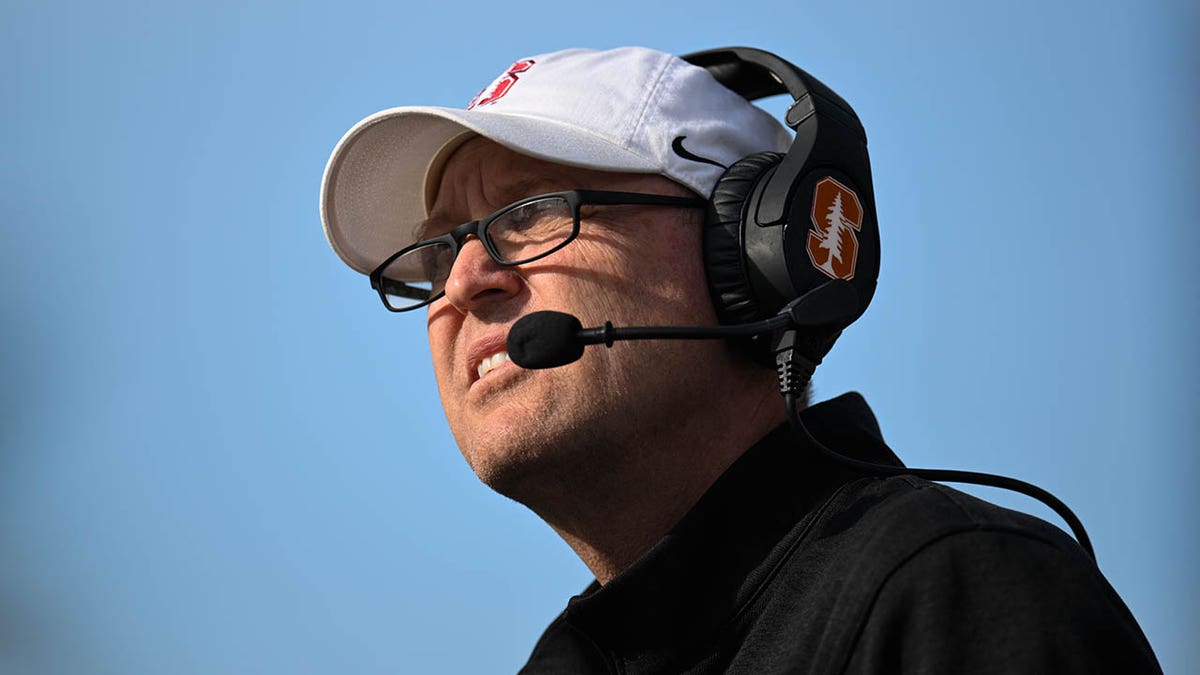 Troy Taylor sideline