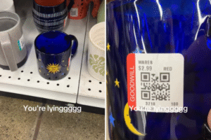 Woman Thinks Thrift Store Is ‘Literally Lying’ Over Incredible .99 Find