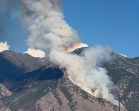 Buckley Draw Fire Scorches Hundreds of Acres in Utah