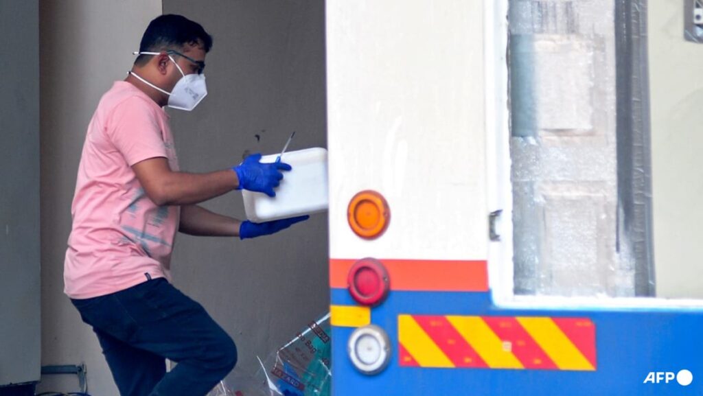 Surge in deadly ‘brain-eating’ amoeba cases causes alarm in India’s Kerala state
