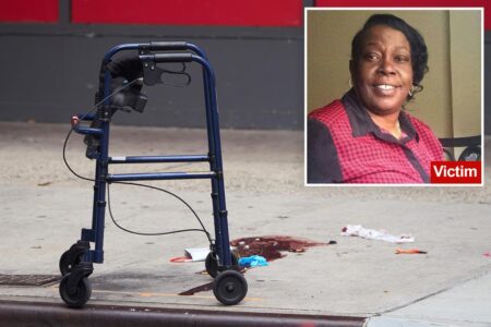 Teen fugitive busted in NYC  shooting that killed innocent walker-using grandma, 69: sources