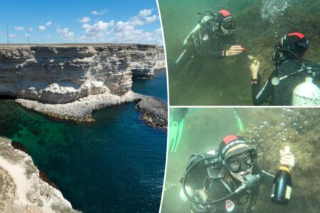 Couple goes on their first deep sea dive — and returns to the surface engaged