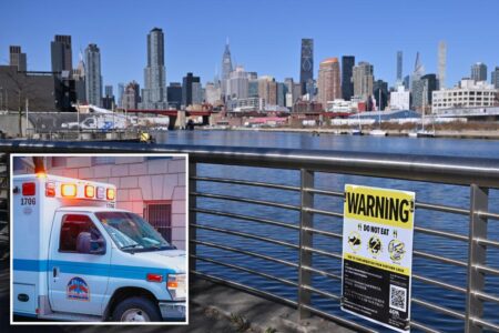 Decomposed body spotted floating in polluted NYC waterway: cops
