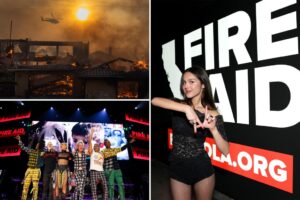 0M in LA wildfire aid is being doled out to fund pet clinics, DEI projects and fungus planting— but not a dime directly to victims