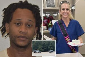 Suspect in professor’s murder was charged with gun crime — but plea deal kept him out of jail