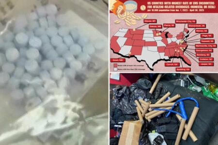 Deadly new opioid, 100 times stronger than fentanyl, seized for first time in Long Island raid: officials