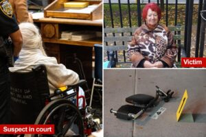Dementia patient, 95, accused of grisly killing of Holocaust survivor wheeled into court as disturbing details revealed