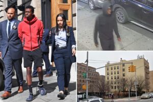 Predator who raped teen on NYC park bench gets busted by eagle-eyed cops: NYPD