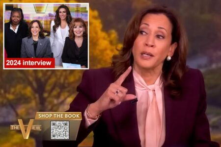 Kamala Harris denies claims that her ‘View’ appearance was tipping point in campaign