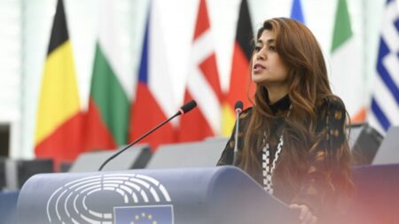 MEP Rima Hassan ‘honoured’ by controversial university plaudit
