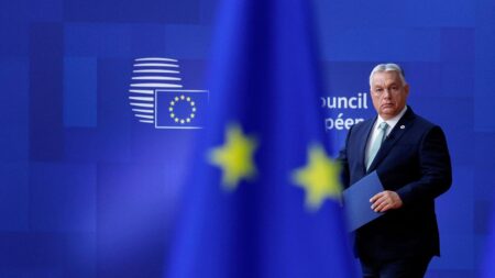 Frozen Funds: MEPs fear Orban will receive millions